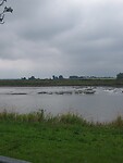 Eb in de Elbe