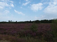 P8230401