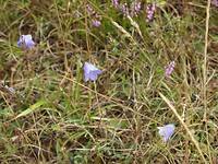 P8230402