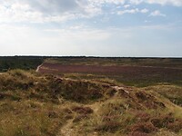 P8230404