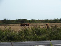 P8230410