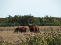 P8230411