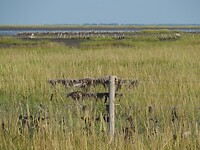 Landschap Waddengebied