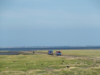 Toeristenbus naar Mando 3