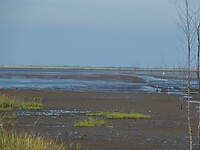 Wadden gebied eb 1