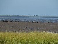 Wadden gebied eb 2