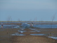 Wadden gebied eb 4