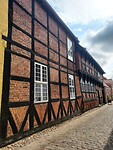 Ribe 3