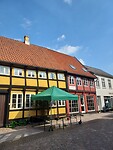 Ribe 5