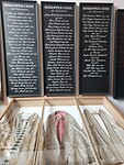 Bisschopkleding Domkerk Ribe