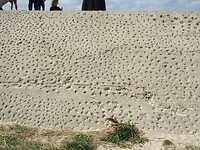 P8270500