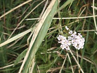 P8270505