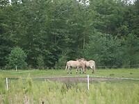 P8280529