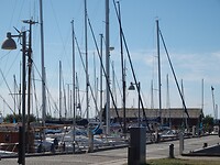 Haven Ringkobing 2