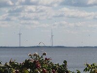 Hier ook windmolens