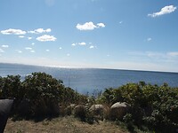 Uitzicht haven