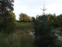 Vijver camping Fjordviking