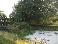 Zand bij vijver