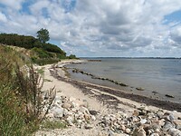 Landschap Sillerslev Havn 2