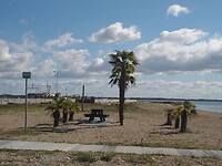 Strandje met palmbomen Sillerslev Havn