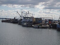 Vissersboten Sillerslev Havn