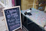 How much is that doggie in the window?