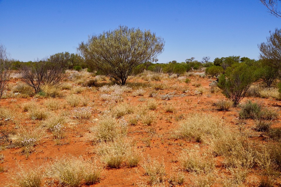Het landschap langs de Stuart Highway ten zuiden van Erldunda