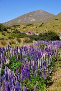 Op weg naar Lindis Pass