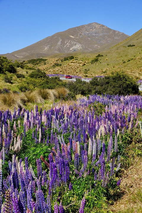 Op weg naar Lindis Pass