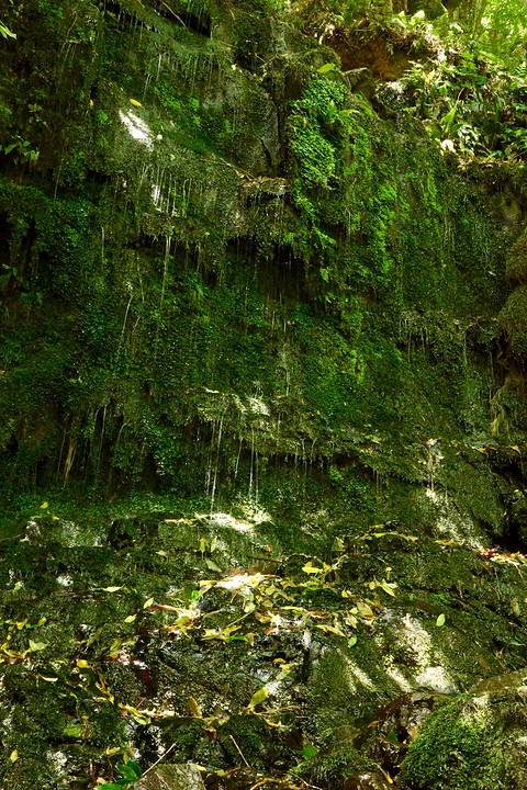 De andere kant van Horseshoe Falls was meer een 'weeping wall'