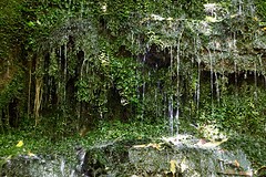 Weeping wall (2)