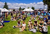 Het festivalterrein met de bergen op de achtergrond - daar bleven de wolken ook