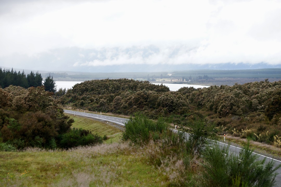 Highway 46 met uitzicht op het Rotoairameer