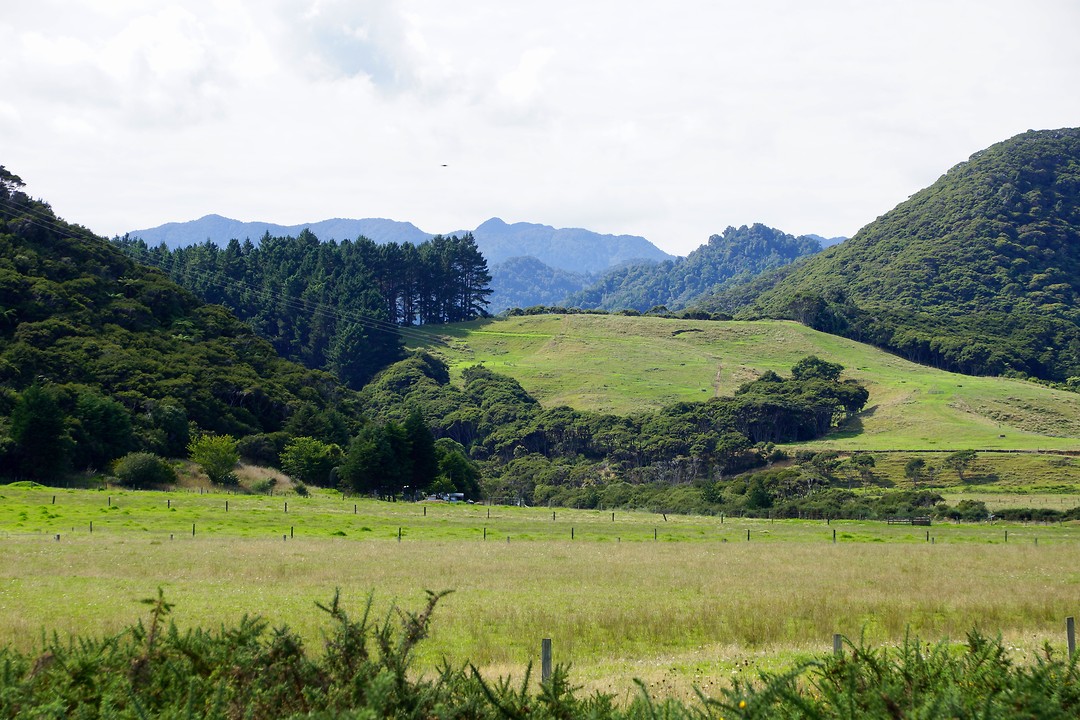 Het landschap bij Hawai