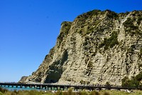 De zandsteenkliffen achter de pier van Tolaga Bay