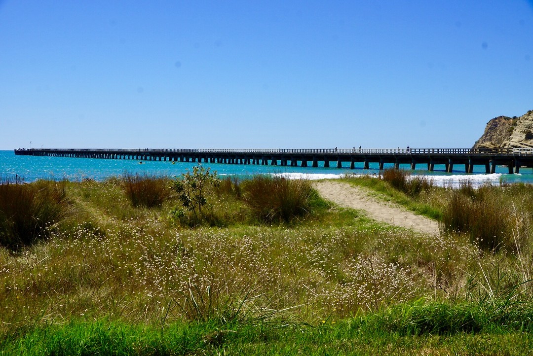 Tolaga Bay Wharf