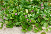 DSC09293