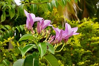 DSC09297