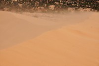 Zandstorm
