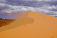 Dankzij de wind verplaatsen de duinen zich voortdurend