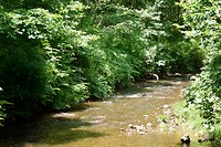 De South Branch van de Raritan River nabij Long Valley