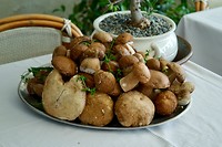 Verse paddestoelen bij Ristorante All’ Olivo