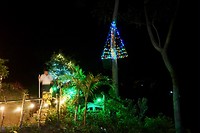 Kerstverlichting bij Ronny’s Place