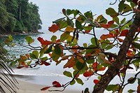 doorkijkje naar het strand van Manuel Antonio NP
