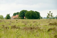 Eenzame boerderij op het veen