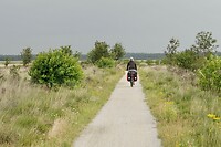 Marja fietst de regen tegemoet