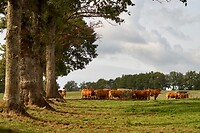 Vanwege de droogte van de laatste maanden moet er wel bijgevoerd worden
