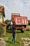 Het houtmannetje is gearriveerd met zijn tractor en drie kuub gemengde houtblokken