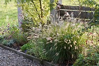 Het gras blikkert fraai in het late zonlicht