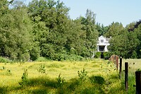 Koetshuis van het landgoed Oldhorst met weiland vol boterbloemen